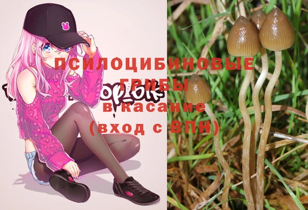 гашиш Ельня