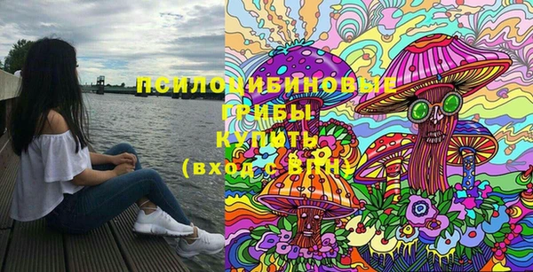гашиш Ельня