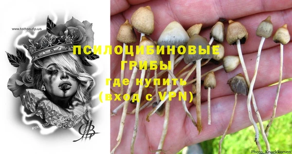 гашиш Ельня