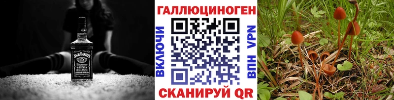 купить   Тюмень  Галлюциногенные грибы GOLDEN TEACHER 